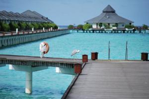 FUN ISLAND RESORT 3 stelle 8 giorni / 6 notti